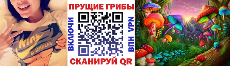 Галлюциногенные грибы прущие грибы  сколько стоит  Дмитриев 